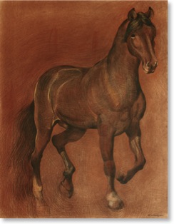 Drawing Art of Wild Horses Prints